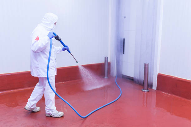 Best Spring Cleaning  in Briar, TX